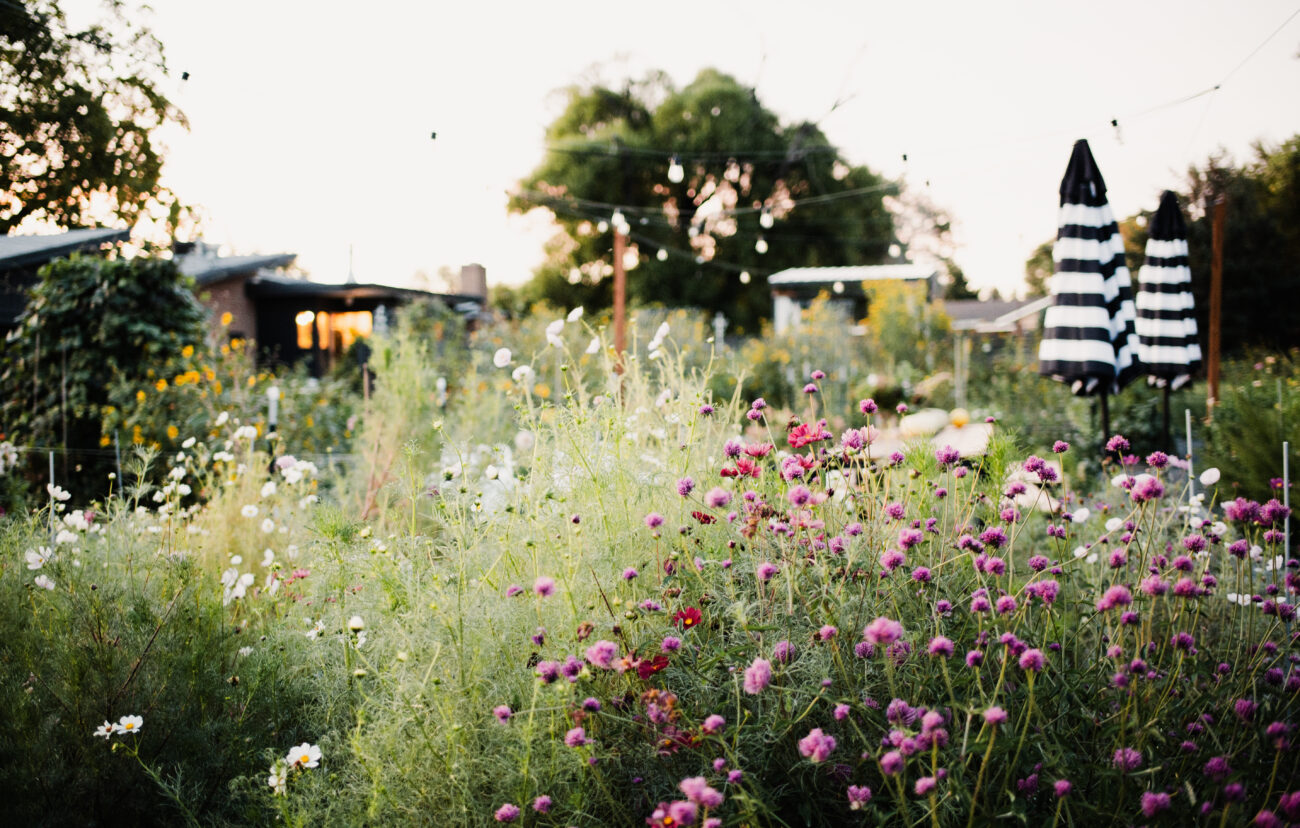 The Flower Farm by Josh Hudnall